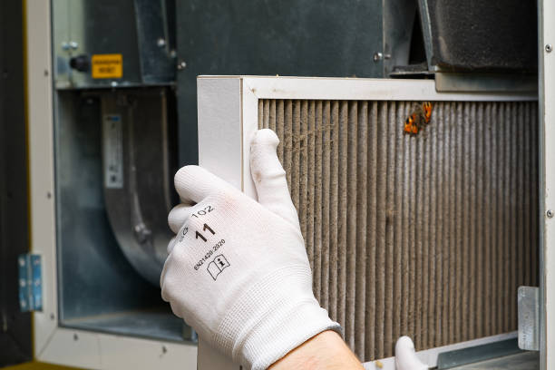 Best Affordable Air Duct Cleaning  in King George, VA